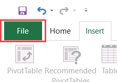 File Tab in Ribbon