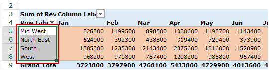 Creating a Pivot Table in Excel - Rows Area