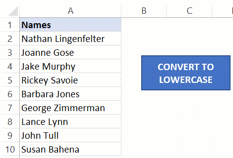 VBA LCase to convert selection to lower case