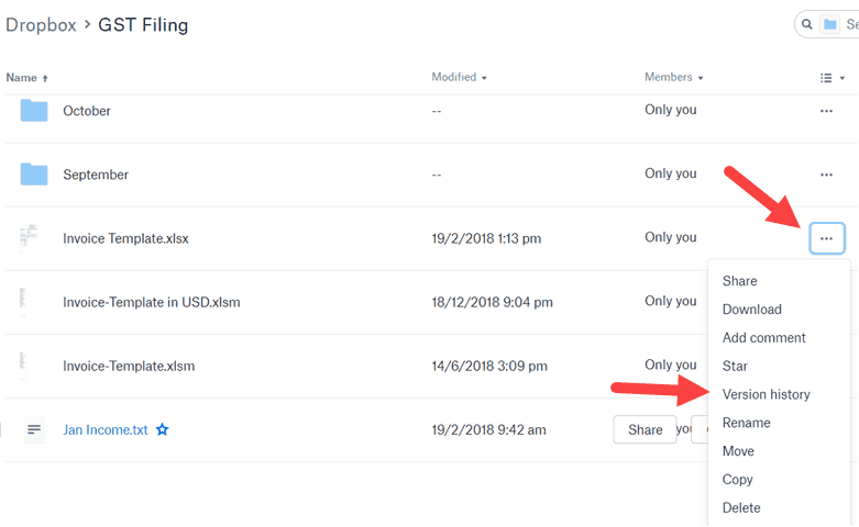 DropBox Version History