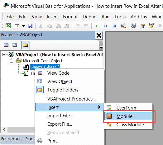 Insert a module in the VB Editor