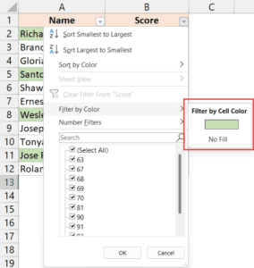 Filter By Color in Excel (3 Easy Ways + VBA)