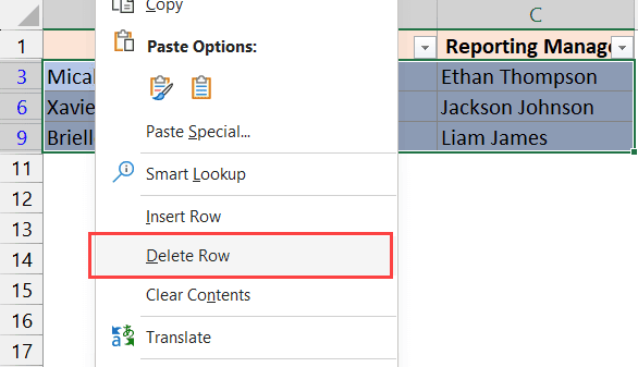 Delete the colored filtered rows