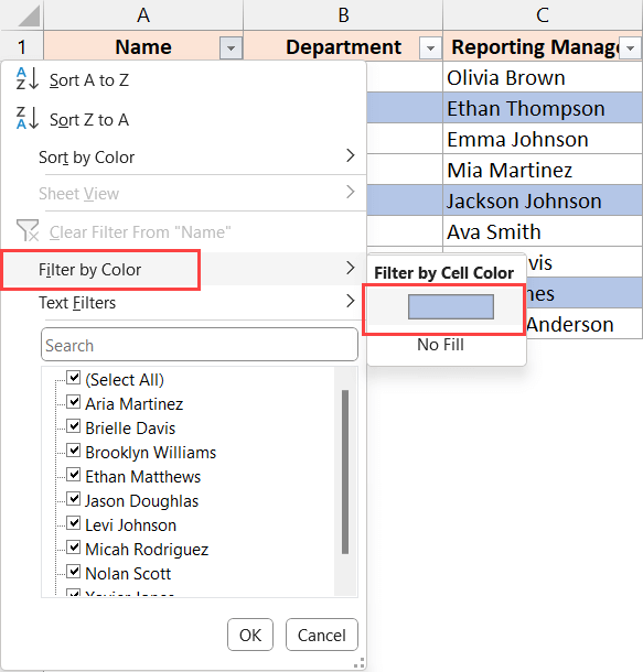 Select the color in the filter by cell color option to filter