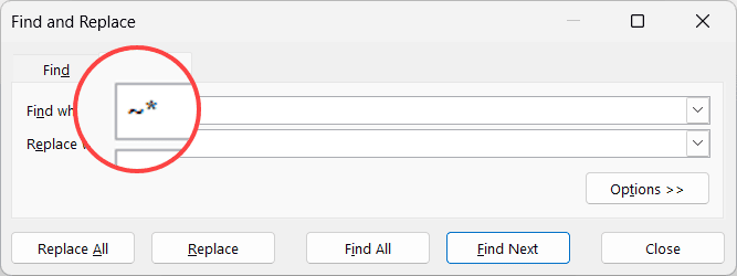 Enter tilde followed by asterisk symbol in find what field