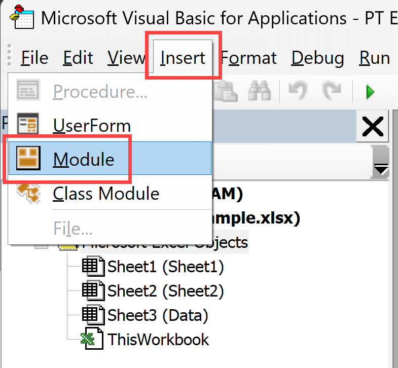 Click on the Insert button and then click on Module