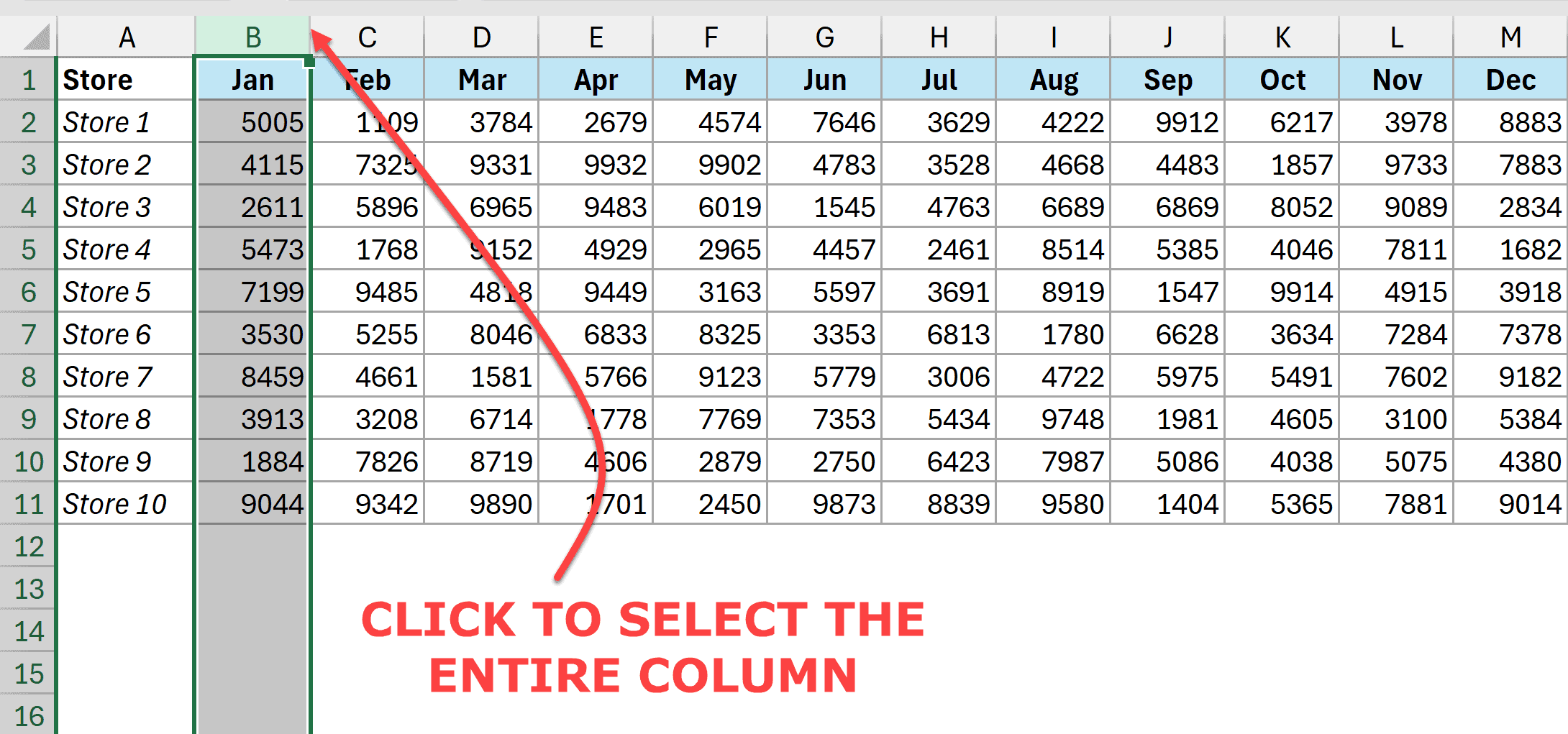 Select the entire column