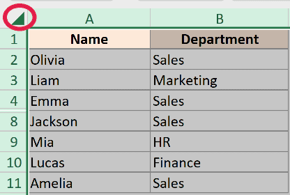 Excel spreadsheet showing the Select All button in the top-left corner circled in red to select the entire sheet