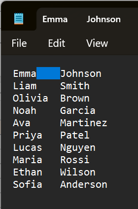 Text editor showing a list of names in two columns with a blue highlight selecting the gap between the columns