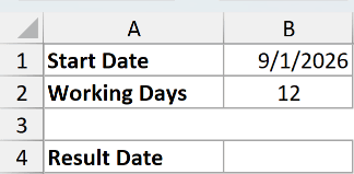 Excel ex3 data showing Start Date 9/1/2026, 12 Working Days, and an empty Result Date field