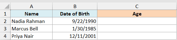 ex5 data showing an Excel table with columns for Name, Date of Birth, and an empty Age column for three individuals