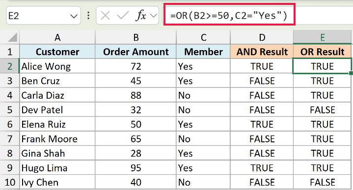Excel formula bar showing OR function with logical tests resulting in TRUE or FALSE values in column E