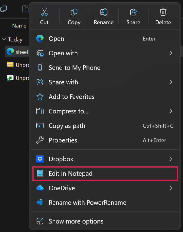 Right-click menu with the Edit in Notepad option for the XML file
