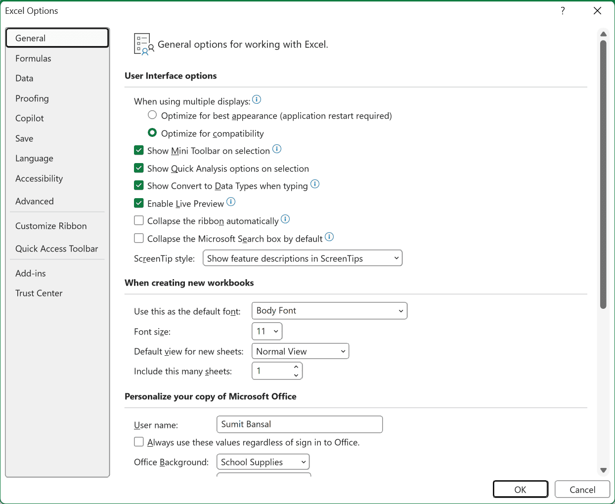 The Excel Options dialog box opened from File > Options