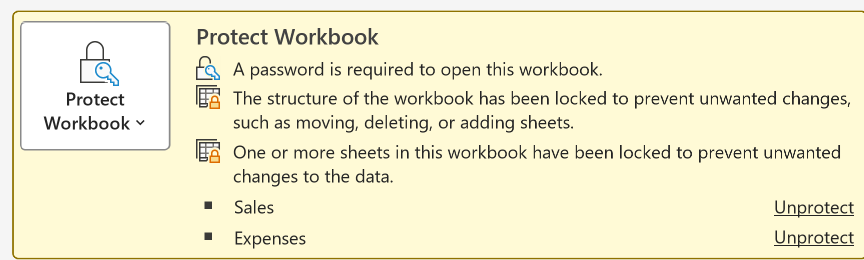 File > Info showing the Protect Workbook panel with an open password, a locked structure and two protected sheets