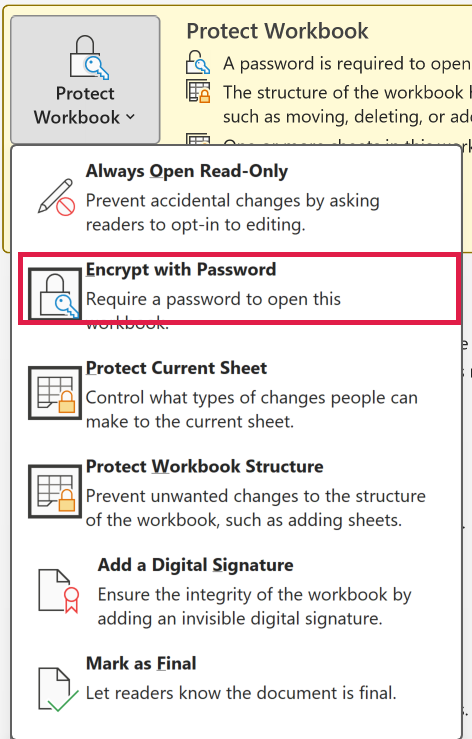 Protect Workbook drop-down on the Info page with Encrypt with Password option