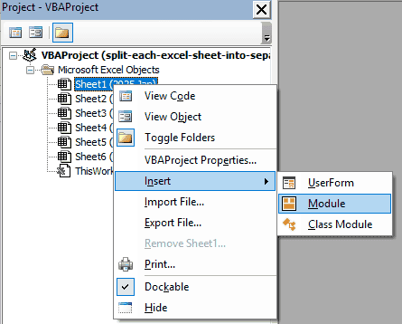 Insert and then Module selected from the right-click menu in the VB Editor