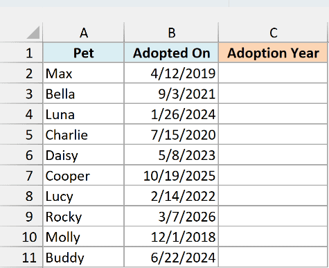 Pets with their adoption dates beside an empty Adoption Year column
