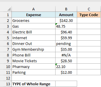 Monthly expenses copied from a banking app, with some amounts stored as text and an empty Type Code column