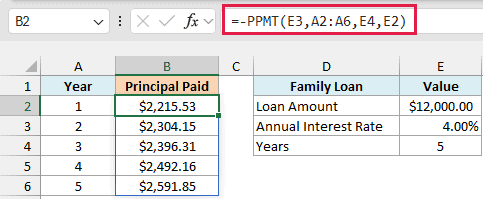 PPMT formula with the annual rate spills the principal paid in each of the five years