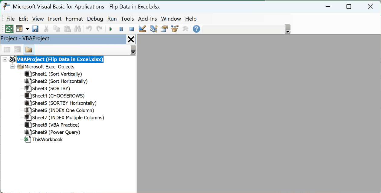 Project Explorer on the left side of the Visual Basic Editor