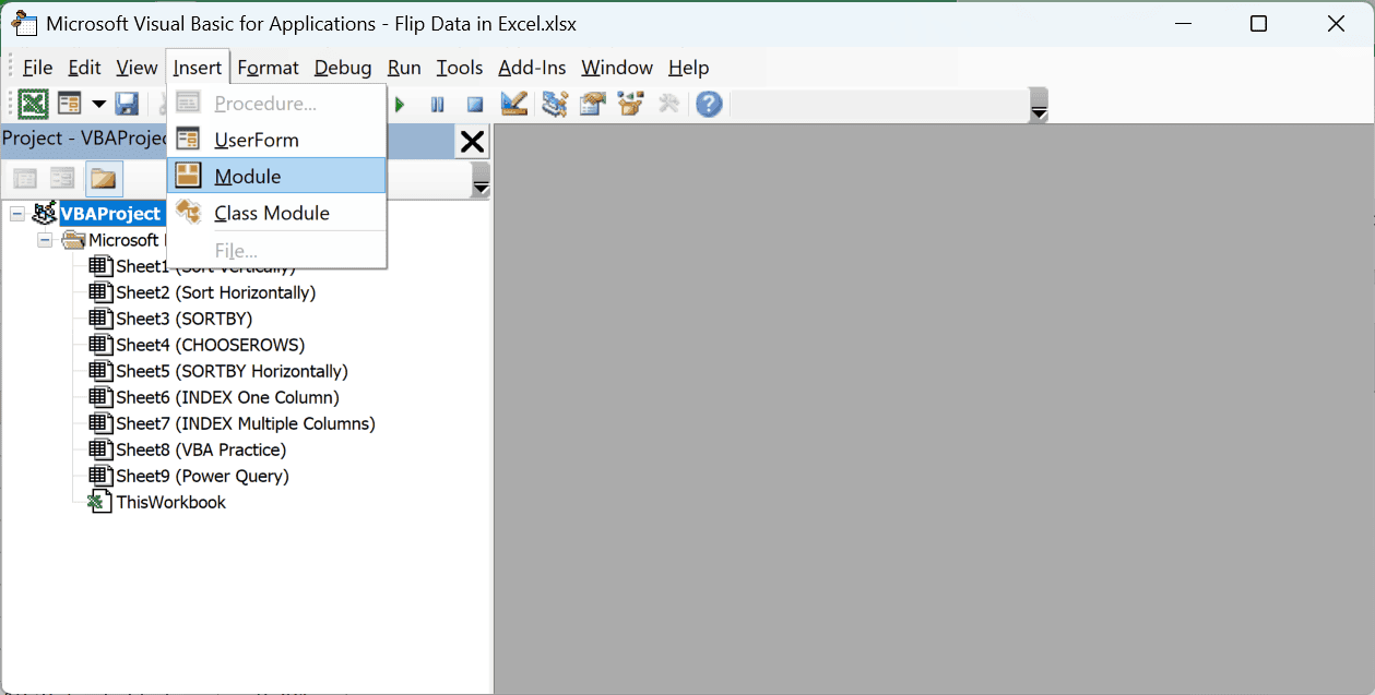 Insert menu in the Visual Basic Editor with the Module option