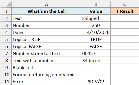 Different kinds of values (text, number, date, TRUE, FALSE, number stored as text, blank, error) to test with the T function