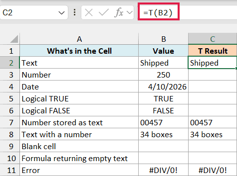 T function results: text comes back, numbers, dates and logical values return blank, and the error passes through
