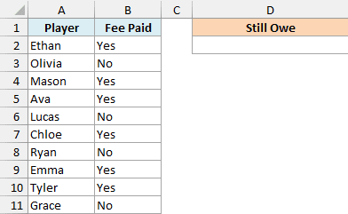 Soccer team list showing which players paid the season fee