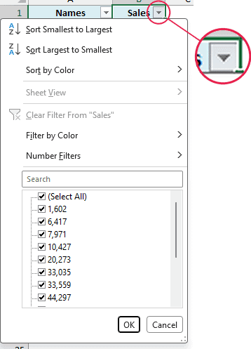 Filter drop-down open on the Sales column