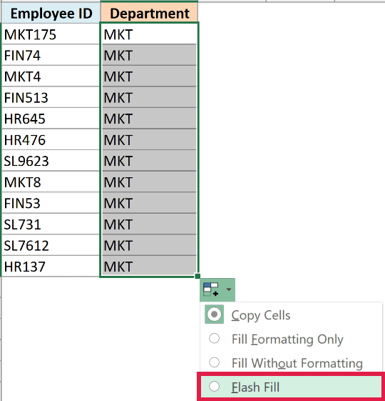 Auto Fill Options menu open with the Flash Fill option highlighted