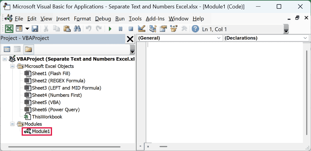 New module in Project Explorer with its empty code window open