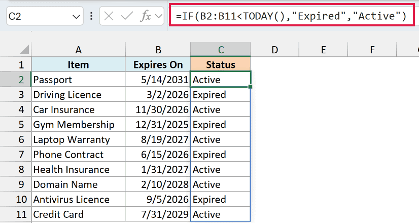 IF formula comparing each expiry date with TODAY to show whether the item is Expired or Active.