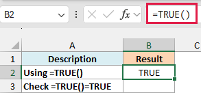 Excel formula bar showing =TRUE() highlighted in red, with cell B2 displaying the resulting logical value TRUE